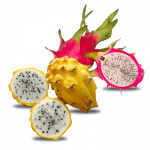 pitahaya_yr