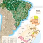 mapa-wines-of-brasil-interno