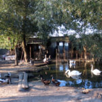 Lackovic_imanjeIMG_1210