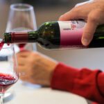 PORTUGIZAC – MLADO VINO