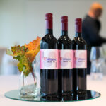 PORTUGIZAC SELECTION