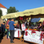 PaprikafestLug_3IMG_1145