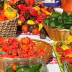 Paprikafest_Lug2_IMG_1146