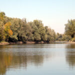 kopackirit_vodaIMG_1088