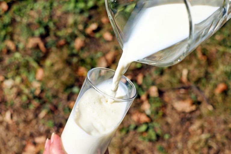 Otvoreno e-savjetovanje: 3 milijuna kuna za proizvodnju i preradu mlijeka