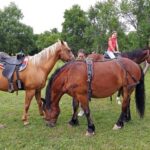 OPG Slaven Nikolic (3)