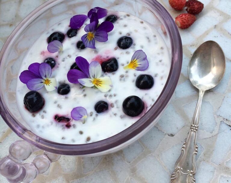 Radionica Jestivo cvijeće i mikrobilje – Upoznajte čudesan svijet bilja u službi gastronomije