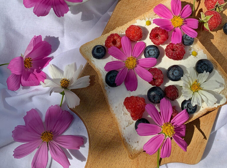 Ne propustite prvi domaći plac na Borovju uz radionicu o jestivom cvijeću