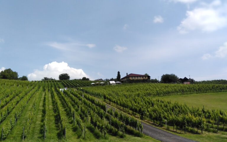 Nova čarobna turistička atrakcija u Sv. Ivanu Zelini