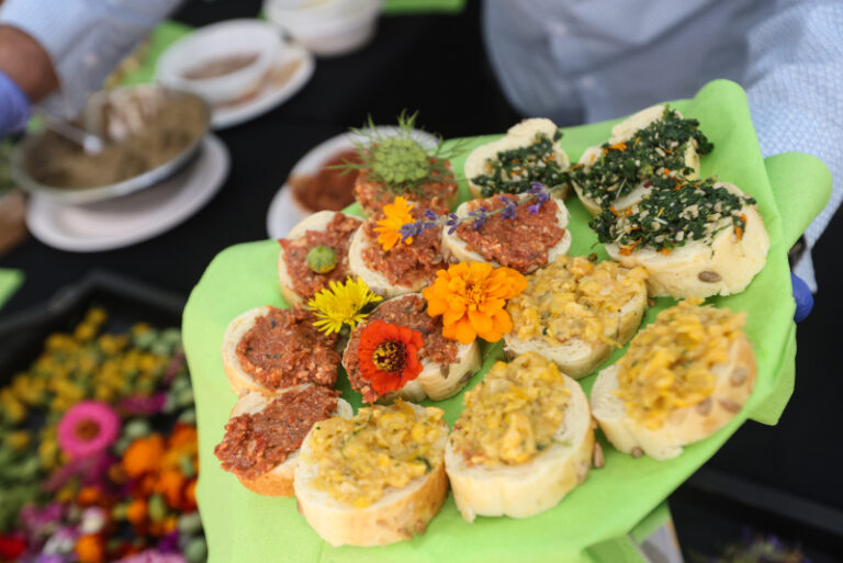 Okusi i mirisi jestivog cvijeća i mikrobilja oduševili posjetitelje EKOTLON-a – festivala zelenih navika