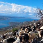 velebit 4
