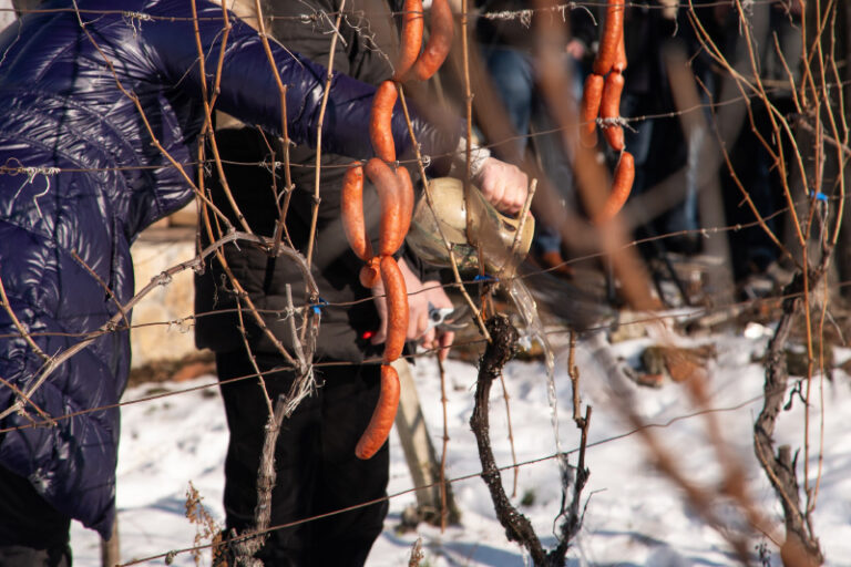 Blagoslov za što bolji urod – Vincekovo u Svetom Ivanu Zelini
