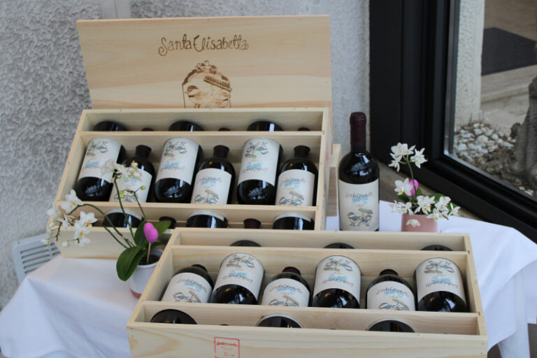 Komisija eksperata odabrala novu Santa Elisabettu