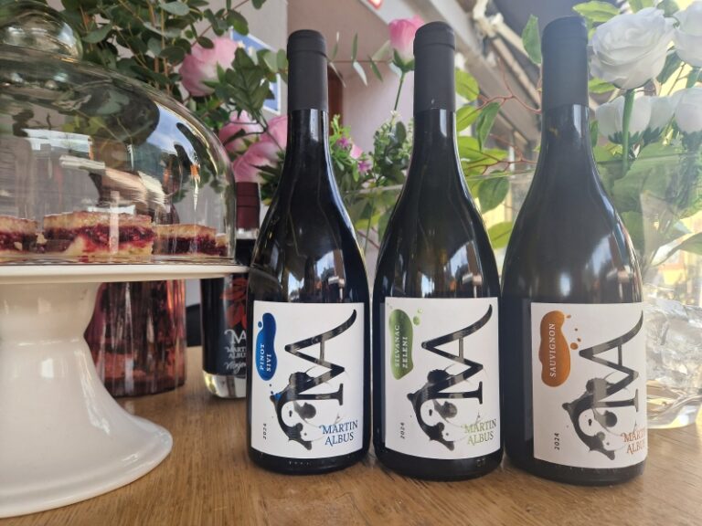 Martin Albus berba 2024 pokazuje enološki stilski potpis i rast kvalitete