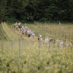 Viva Vino 2025-401