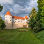 foto mokrice promo (4)