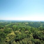 Das große Abenteuer am Demmerkogel (2)