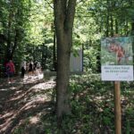 Das große Abenteuer am Demmerkogel (5)