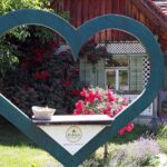 Die Amtmann in Gamlitz – Naturgarten (1)