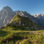 bovski gamsovec