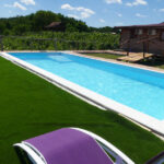 lavander