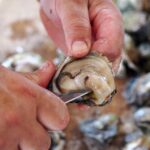 Ston, oyster farm Gusta Me, foto Nikola Zoko (13)