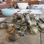 Ston, oyster farm Gusta Me, foto Nikola Zoko (6)