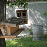 Weingut Kogl (12)