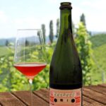 Weingut Kogl (9)