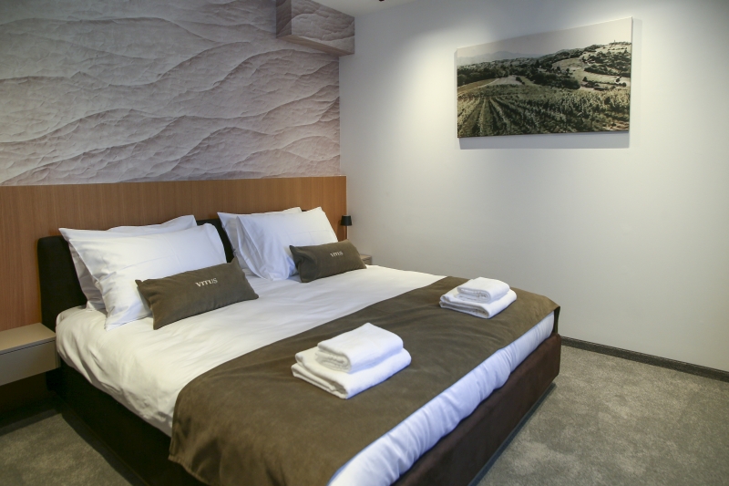 Wine hotel Vitus raspolaže sa ukupno 11 modernih soba